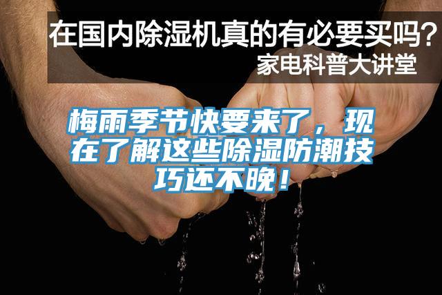 梅雨季節(jié)快要來了，現(xiàn)在了解這些除濕防潮技巧還不晚！