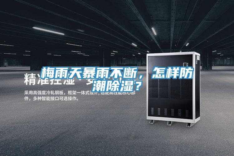梅雨天暴雨不斷，怎樣防潮除濕？