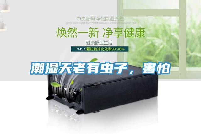 潮濕天老有蟲子，害怕