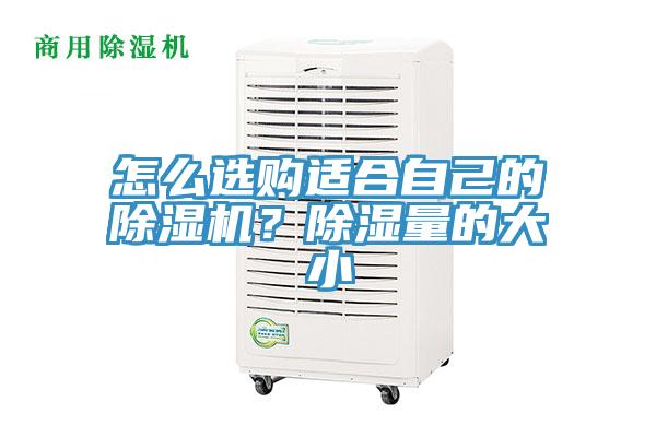 怎么選購適合自己的除濕機？除濕量的大小