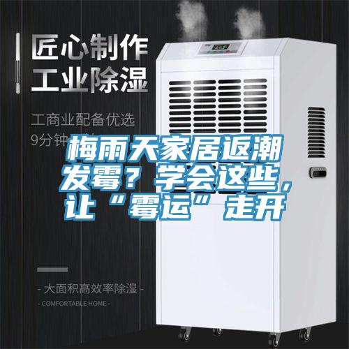 梅雨天家居返潮發(fā)霉？學會這些，讓“霉運”走開