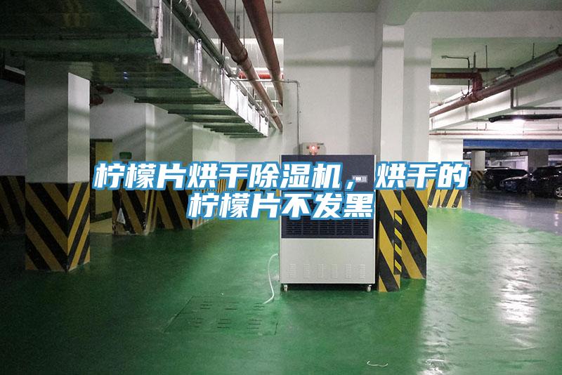 檸檬片烘干除濕機(jī)，烘干的檸檬片不發(fā)黑