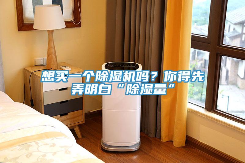 想買一個除濕機嗎？你得先弄明白“除濕量”