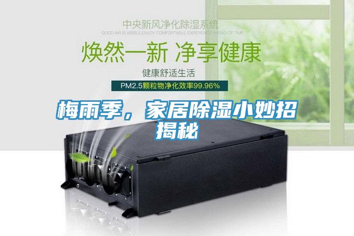 梅雨季，家居除濕小妙招揭秘