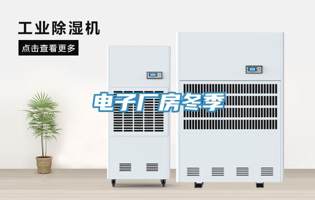 電子廠(chǎng)房冬季