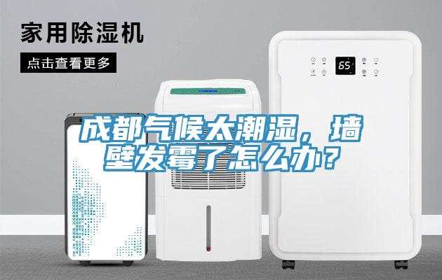 成都氣候太潮濕，墻壁發(fā)霉了怎么辦？