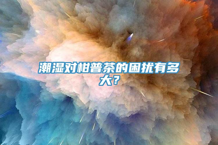 潮濕對柑普茶的困擾有多大？