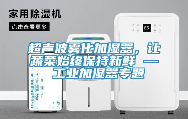 超聲波霧化加濕器，讓蔬菜始終保持新鮮 — 工業(yè)加濕器專題