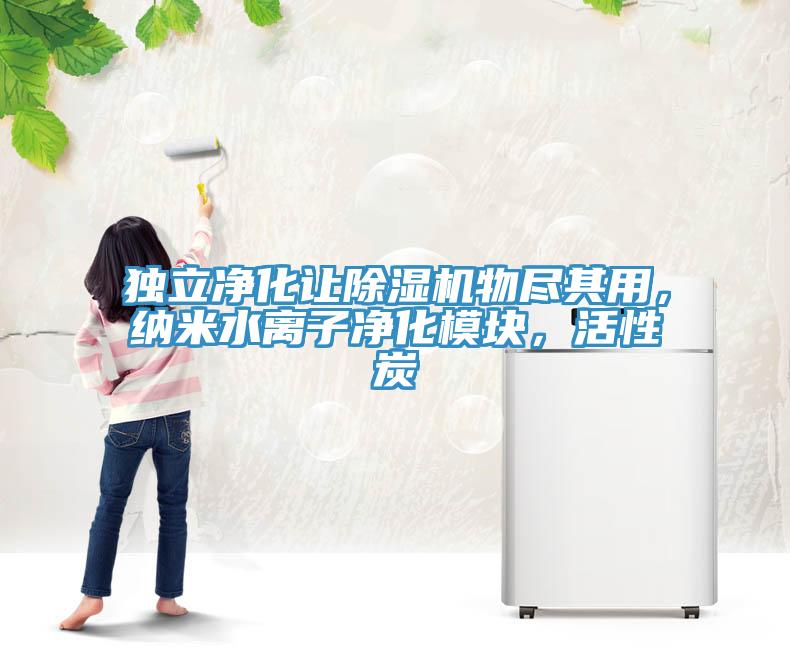 獨立凈化讓除濕機物盡其用，納米水離子凈化模塊，活性炭