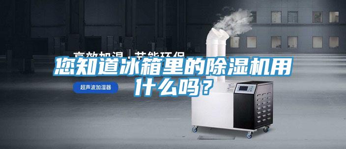 您知道冰箱里的除濕機(jī)用什么嗎？