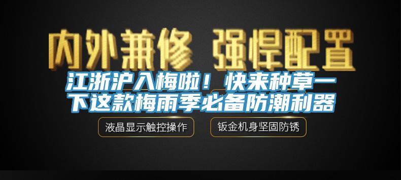 江浙滬入梅啦！快來種草一下這款梅雨季必備防潮利器