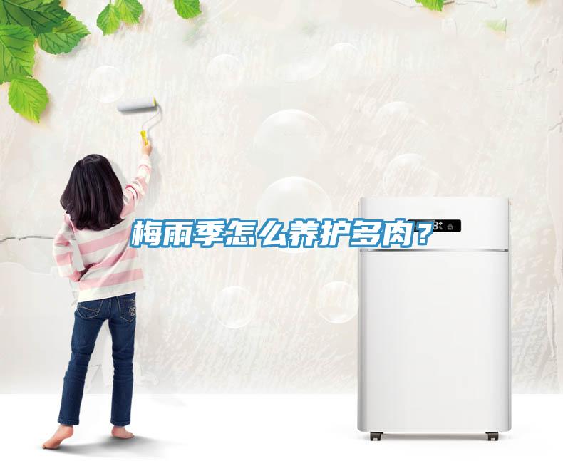 梅雨季怎么養(yǎng)護多肉？