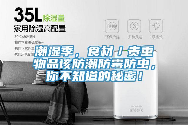 潮濕季，食材／貴重物品該防潮防霉防蟲，你不知道的秘密！
