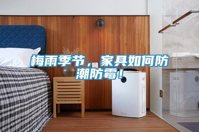 梅雨季節(jié)，家具如何防潮防霉！