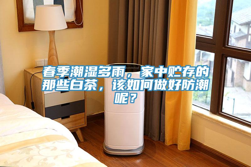 春季潮濕多雨，家中貯存的那些白茶，該如何做好防潮呢？