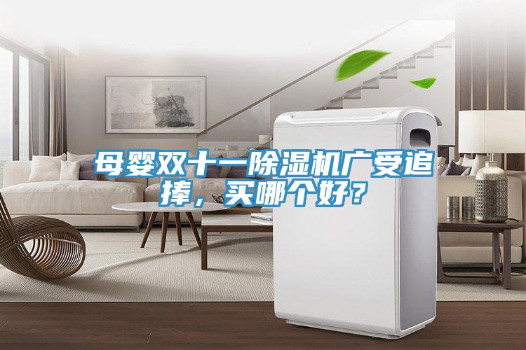 母嬰雙十一除濕機(jī)廣受追捧，買哪個(gè)好？