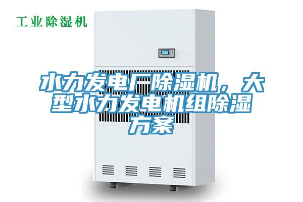 水力發(fā)電廠除濕機(jī)，大型水力發(fā)電機(jī)組除濕方案
