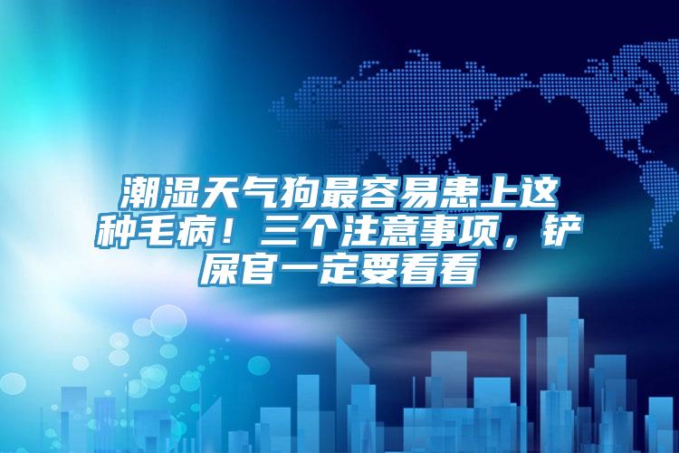 潮濕天氣狗最容易患上這種毛?。∪齻€注意事項，鏟屎官一定要看看