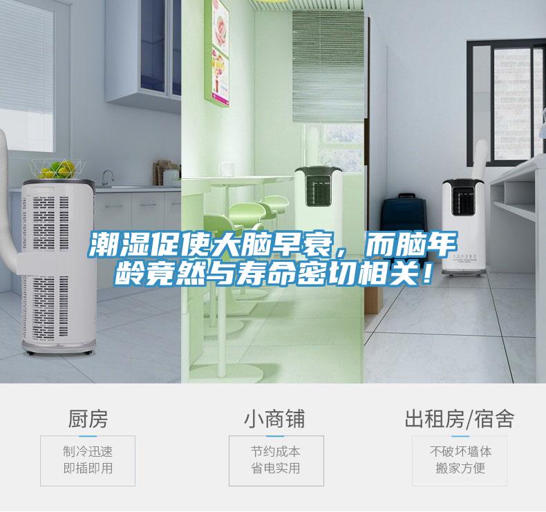 潮濕促使大腦早衰，而腦年齡竟然與壽命密切相關(guān)！