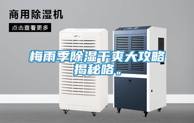 梅雨季除濕干爽大攻略揭秘咯。