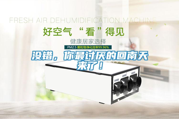 沒錯，你最討厭的回南天來了！