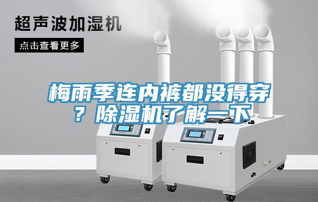 梅雨季連內(nèi)褲都沒(méi)得穿？除濕機(jī)了解一下