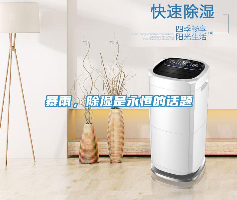 暴雨，除濕是永恒的話題