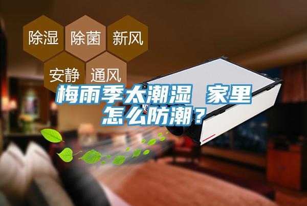 梅雨季太潮濕 家里怎么防潮？