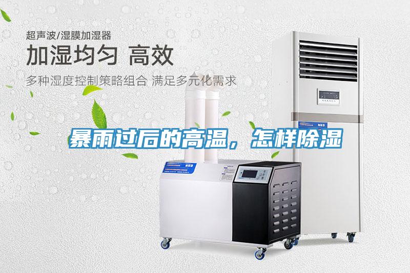 暴雨過后的高溫，怎樣除濕