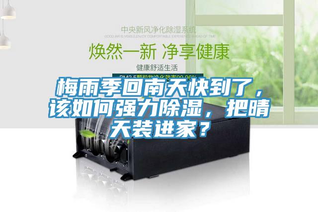 梅雨季回南天快到了，該如何強(qiáng)力除濕，把晴天裝進(jìn)家？