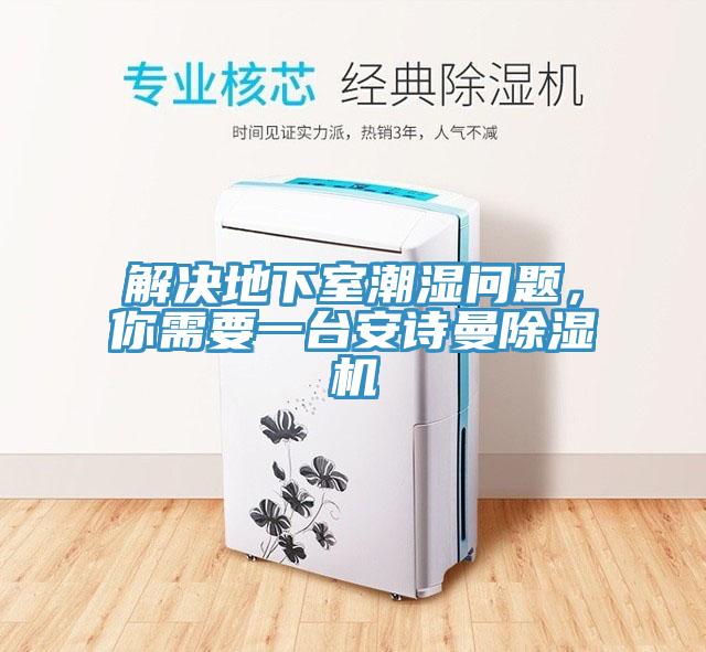 解決地下室潮濕問題，你需要一臺安詩曼除濕機