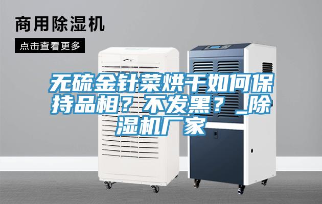 無硫金針菜烘干如何保持品相？不發(fā)黑？_除濕機廠家