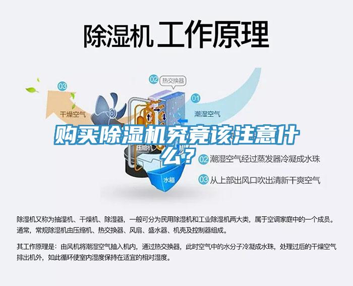 購(gòu)買(mǎi)除濕機(jī)究竟該注意什么？