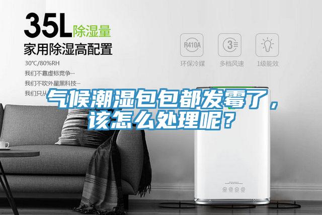 氣候潮濕包包都發(fā)霉了，該怎么處理呢？