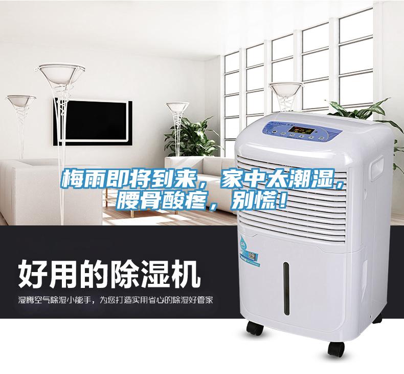 梅雨即將到來，家中太潮濕，腰骨酸疼，別慌！