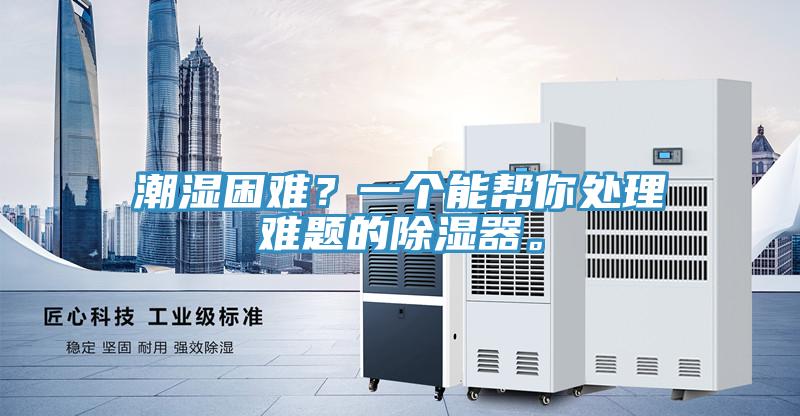 潮濕困難？一個能幫你處理難題的除濕器。