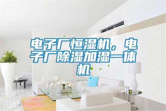 電子廠(chǎng)恒濕機(jī)，電子廠(chǎng)除濕加濕一體機(jī)