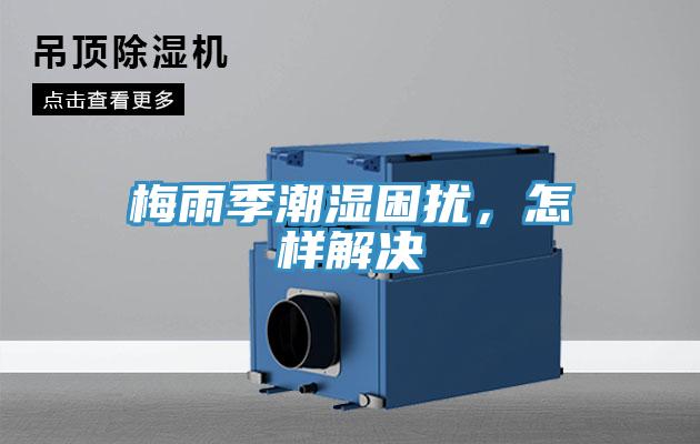 梅雨季潮濕困擾，怎樣解決