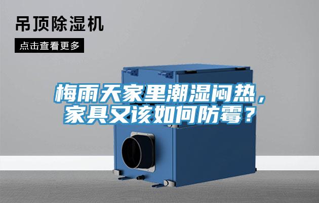梅雨天家里潮濕悶熱，家具又該如何防霉？