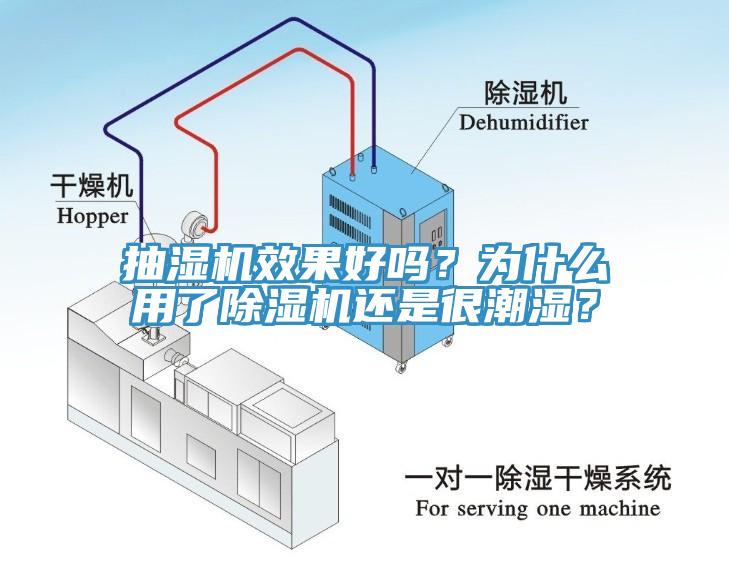 抽濕機(jī)效果好嗎？為什么用了除濕機(jī)還是很潮濕？
