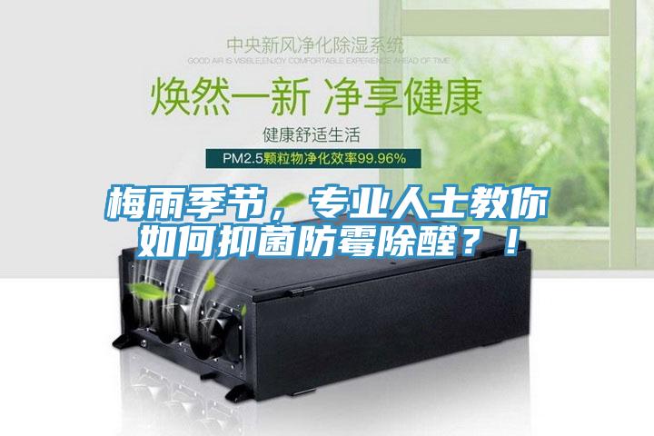 梅雨季節(jié)，專業(yè)人士教你如何抑菌防霉除醛？！