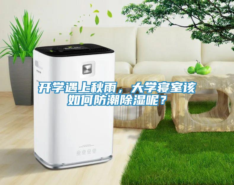 開學(xué)遇上秋雨，大學(xué)寢室該如何防潮除濕呢？