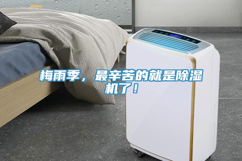 梅雨季，最辛苦的就是除濕機(jī)了！