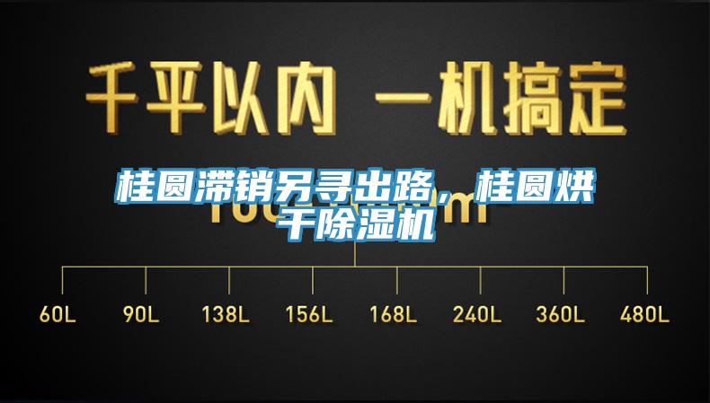 桂圓滯銷另尋出路，桂圓烘干除濕機(jī)