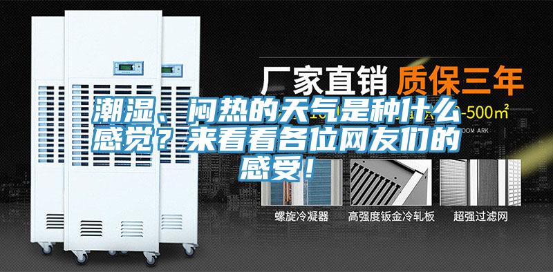 潮濕、悶熱的天氣是種什么感覺？來看看各位網(wǎng)友們的感受！