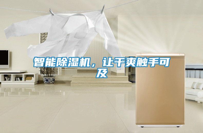 智能除濕機，讓干爽觸手可及
