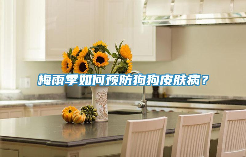 梅雨季如何預(yù)防狗狗皮膚?。?></div>
								<div   id=