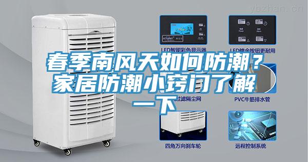 春季南風(fēng)天如何防潮？家居防潮小竅門了解一下