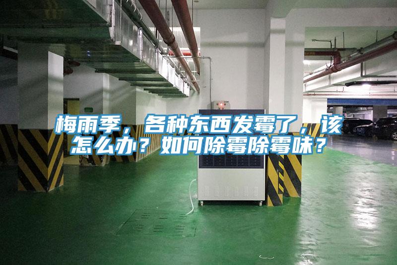 梅雨季，各種東西發(fā)霉了，該怎么辦？如何除霉除霉味？