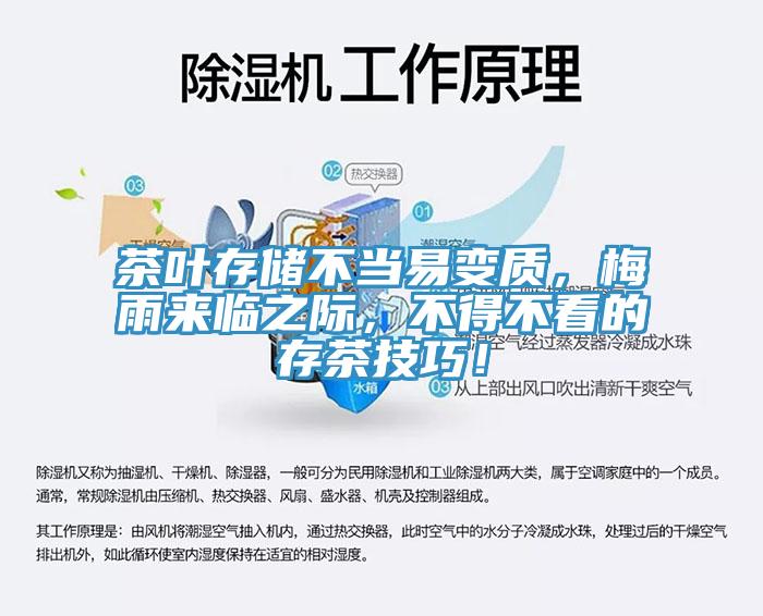 茶葉存儲(chǔ)不當(dāng)易變質(zhì)，梅雨來臨之際，不得不看的存茶技巧！